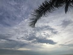 -白沙滩