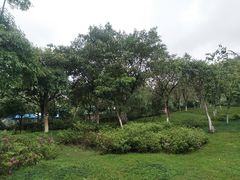 -火炉山森林公园