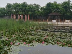 -河北村民俗体验园