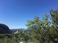 -大岭沟猕猴桃谷风景区