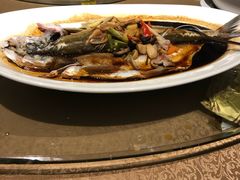 -豐柏轩食府