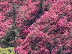 -木兰云雾山