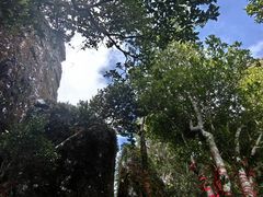 -七仙岭温泉国家森林公园