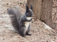 -北京西山国家森林公园