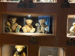 -济州岛泰迪熊博物馆