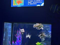 -左海海底世界
