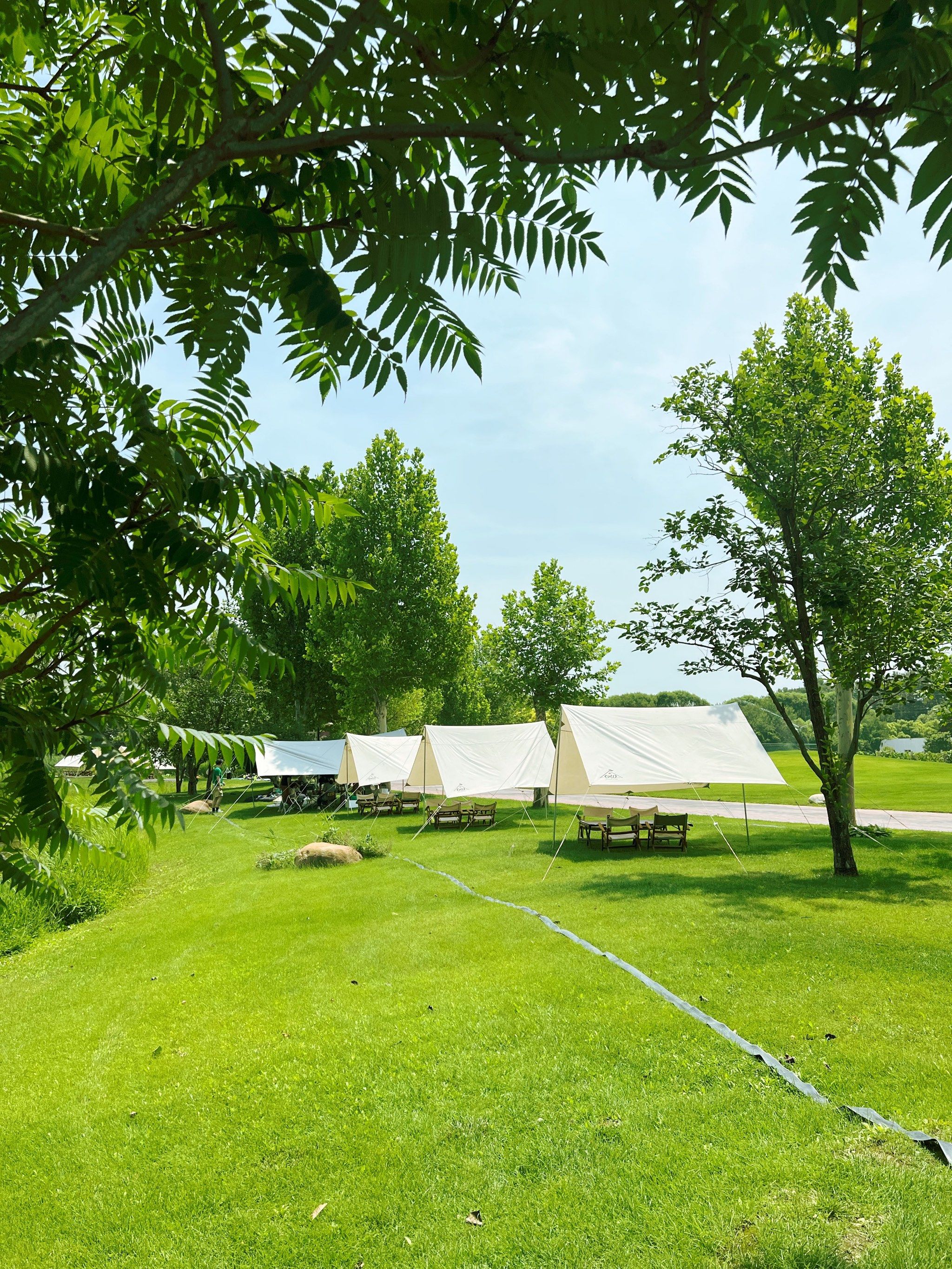 端午露营好去处,圣露庄园绝美营地