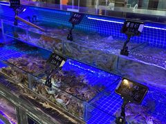 -渔民船说·北塘海鲜·天津菜·海肠捞饭(北塘古镇店)