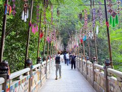 -西双版纳原始森林公园