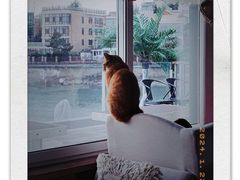 -Vanillacafe香草咖啡(银海大世界店)