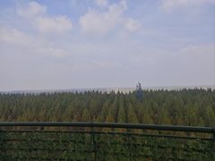 -黄海国家森林公园