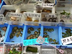A_143-清平路水族市场