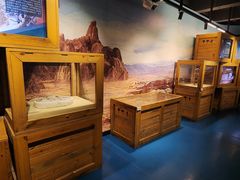 -国家自然博物馆