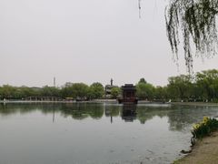 -百脉泉景区