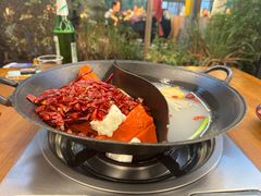 -阳阳老火锅(小南门店)