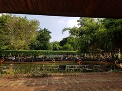 -侯臣咖啡文化村