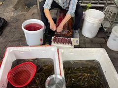 -铜元老码头鳝鱼火锅