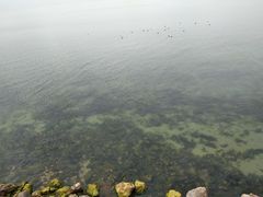 -抚仙湖禄充风景区
