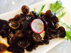 爽口黑木耳-新光酒家·河豚·海鲜·蟹料理(浦东店)
