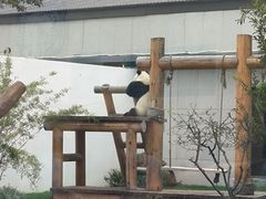 -无锡动物园·太湖欢乐园