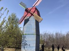 -洛阳郁金香牡丹园