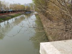 -自然谷恐龙园