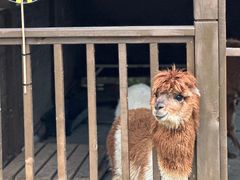 -太阳岛旅游度假区