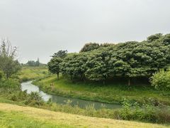 -两河城市森林公园