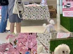 -深圳龙华星河COCO City(民治店)