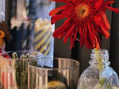 -Fridi Patisserie Cafe