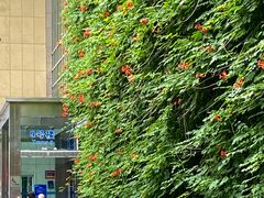 -浙江大学医学院附属第二医院(解放路院区)