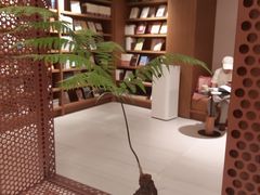 -二酉书店TOYOU BOOKS