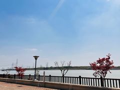 -太阳岛旅游度假区