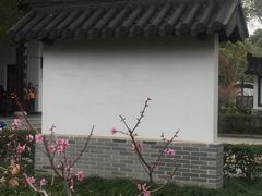 -南汇桃花村