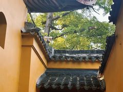 -西园戒幢律寺