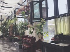 -北马山庄植趣咖啡