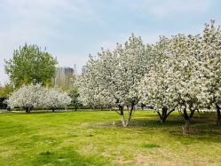 -大望京儿童游乐场