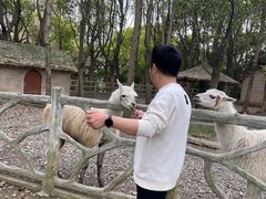 -昆山城市生态森林公园