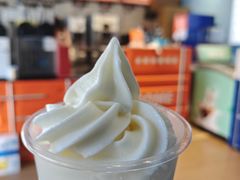-萨朗刀克冰淇淋雪花凉(植物园店)