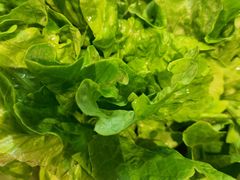 生菜-天都火锅酒楼(虹梅南路店)