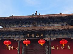 -大悲禅寺