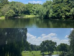 -上海共青森林公园