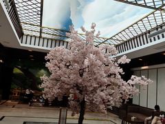 -添赐温泉馆(上南路店)
