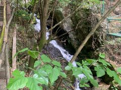 -藏龙百瀑风景区