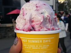 -Patagonia Chocolates(皇后镇店)