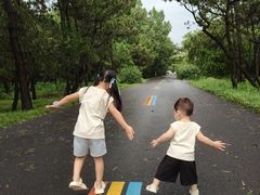 -日照海滨国家森林公园