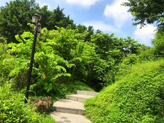 -厦门悦华酒店·绿庭主题自助餐厅