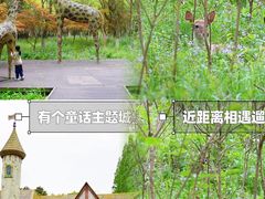 -东平国家森林公园