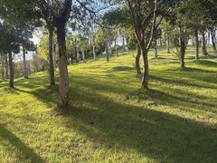 -牛岗山公园