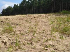 -塞罕坝国家级自然保护区